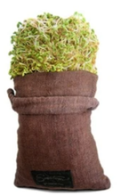 Load image into Gallery viewer, 2 Hemp Sprouting Bags