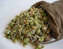 Load image into Gallery viewer, 2 Hemp Sprouting Bags