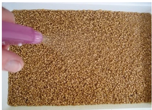 Load image into Gallery viewer, Wheatgrass Grower