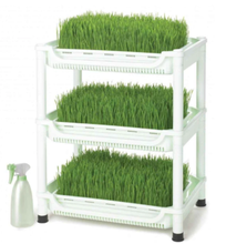 Load image into Gallery viewer, Wheatgrass Grower
